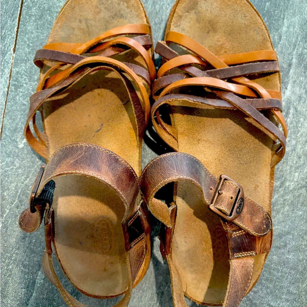 Chaco Falcon size 10